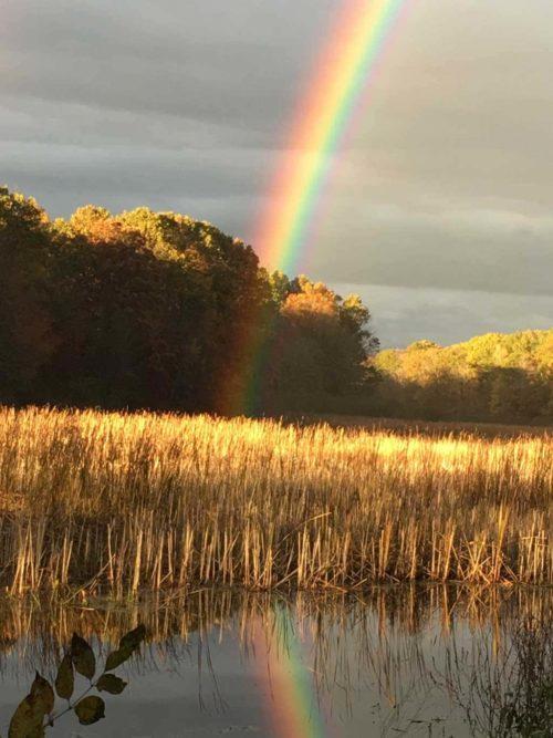 rainbow-photo
